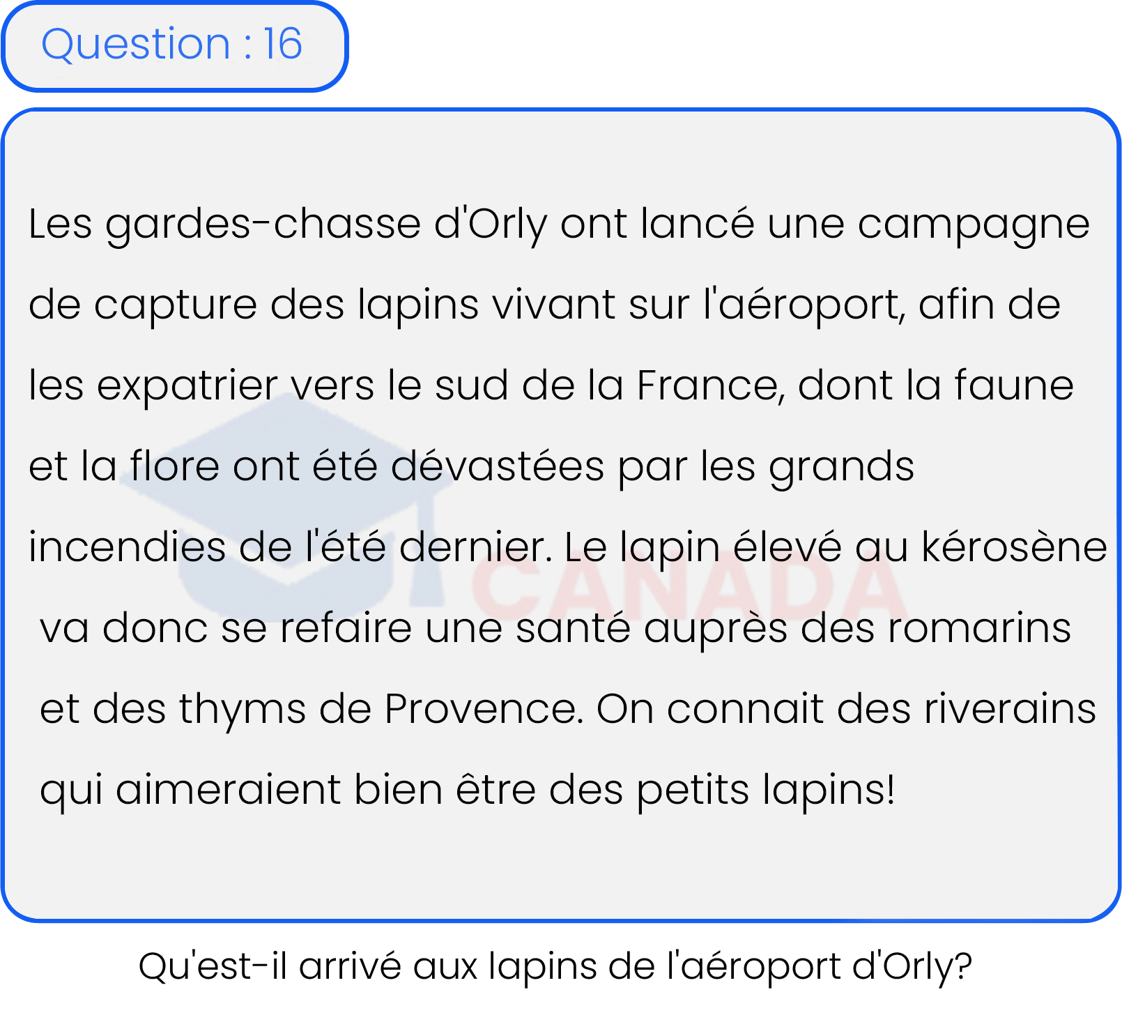 Question 16