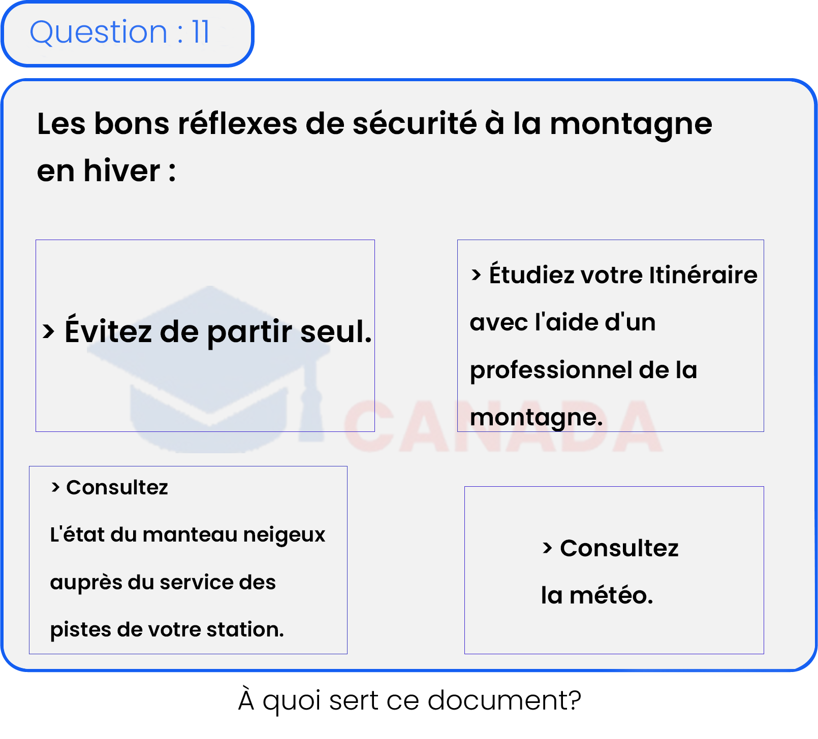 Question 11