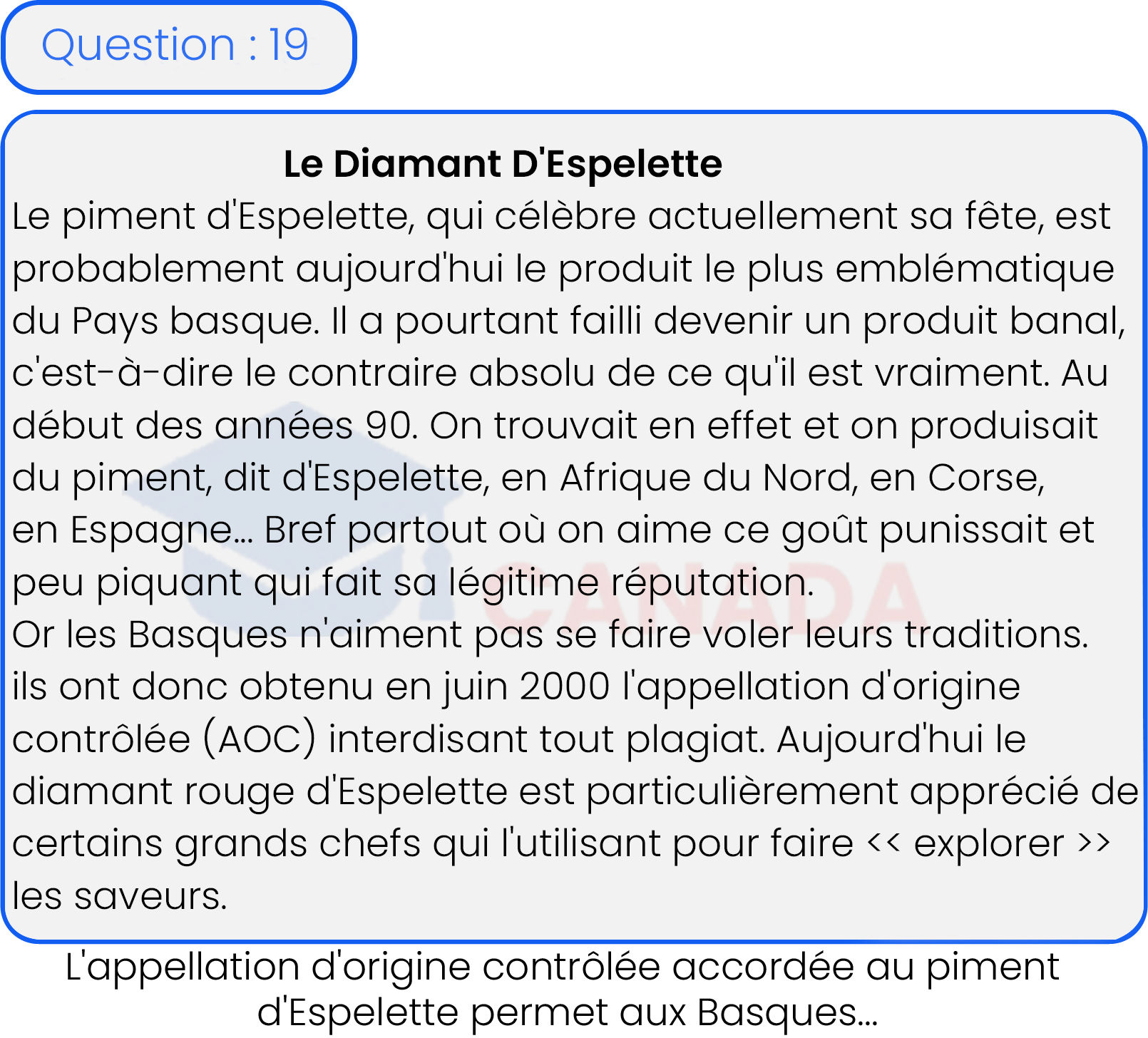 Question 19