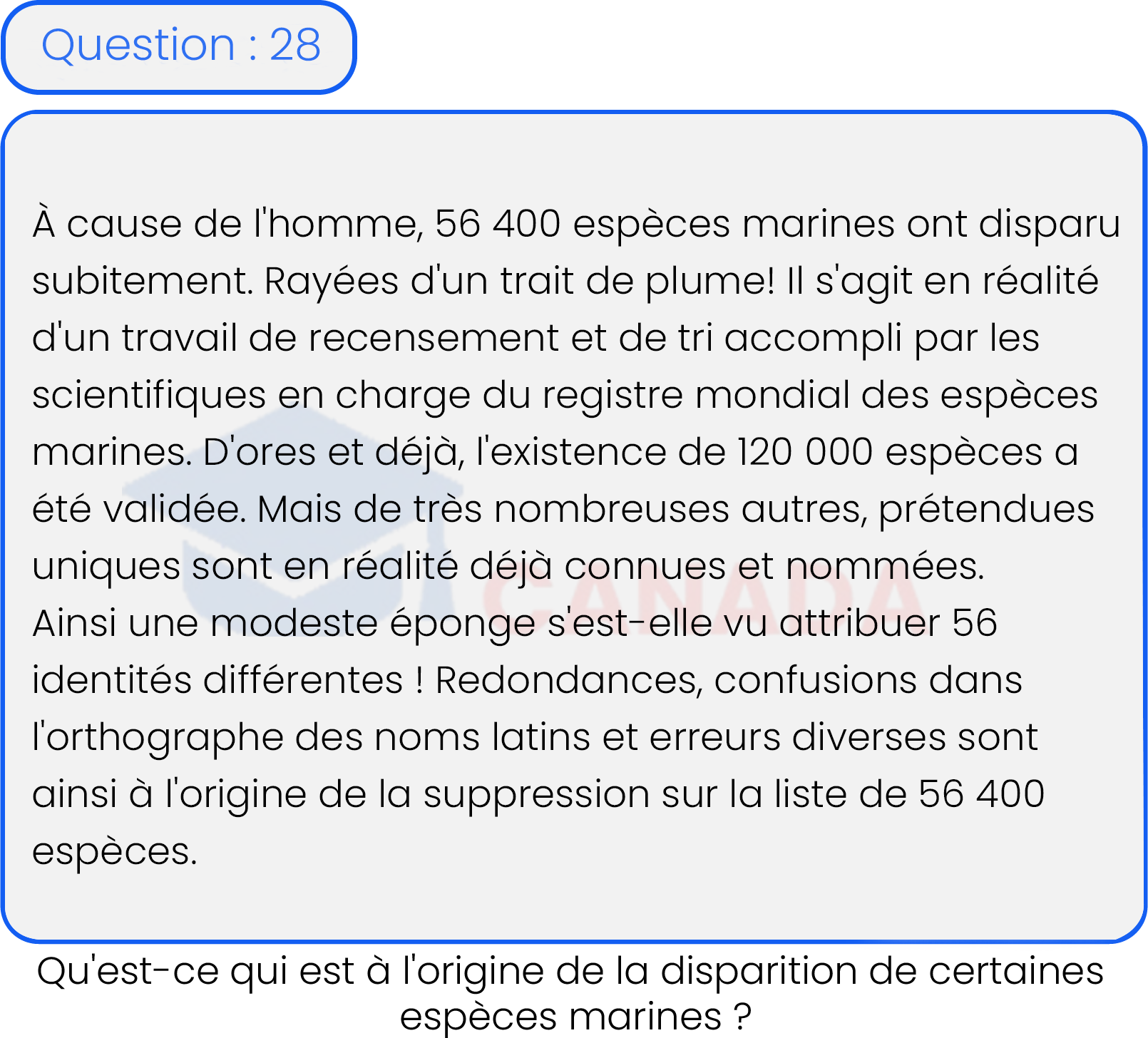 Question 28