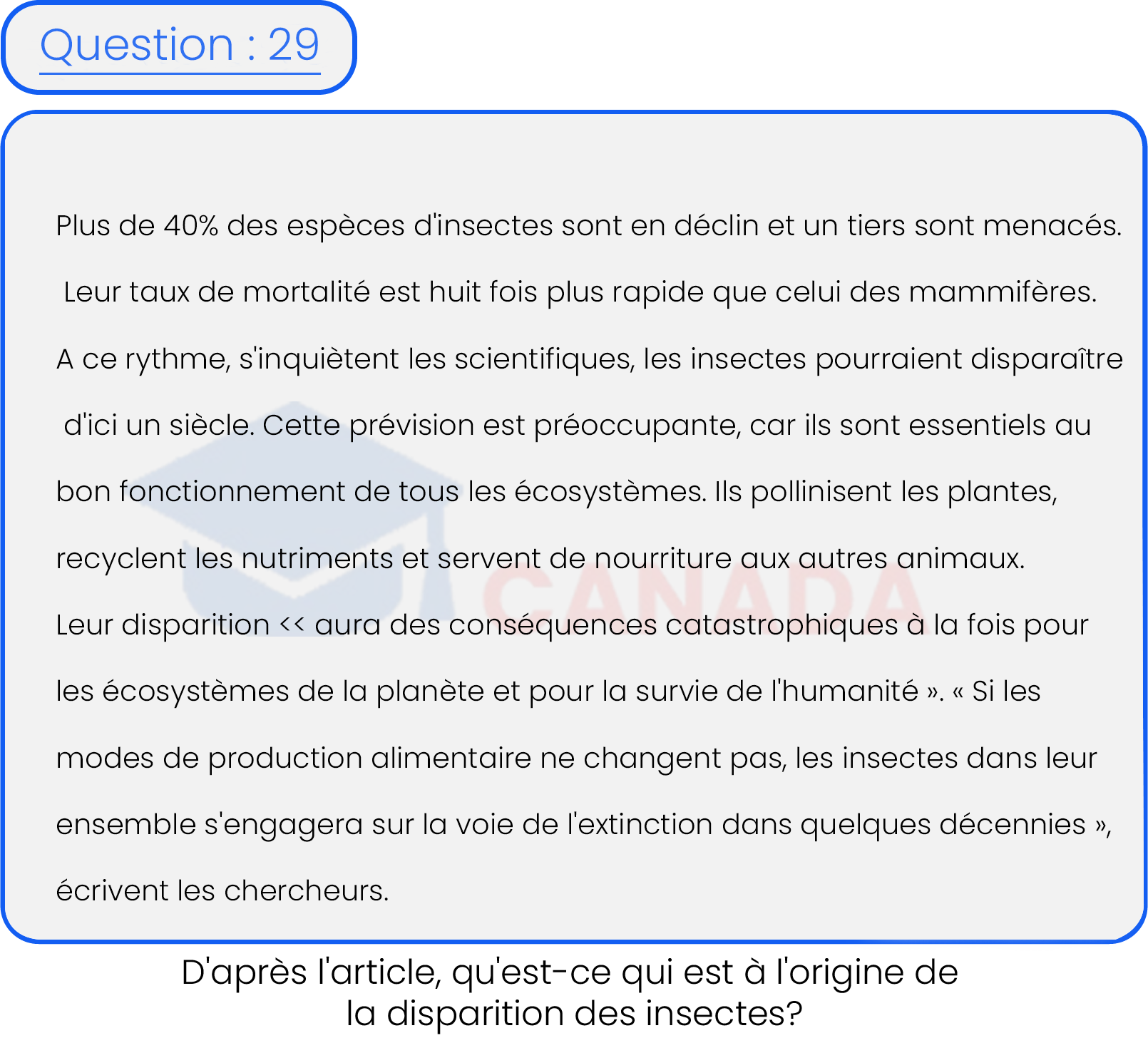 Question 29