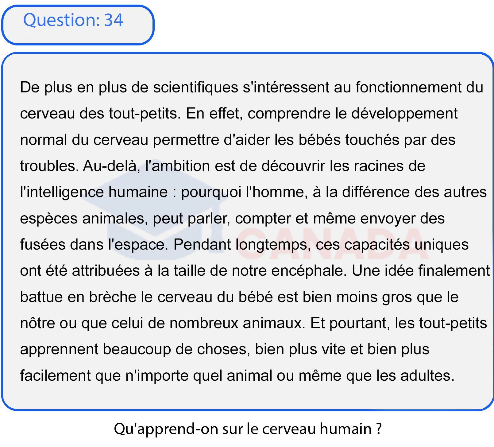 Question 34