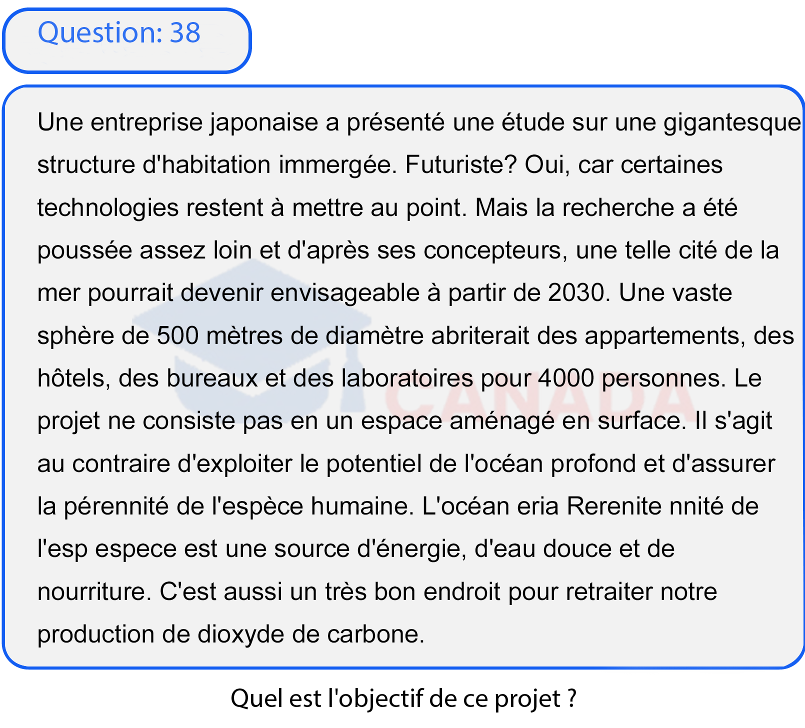 Question 38