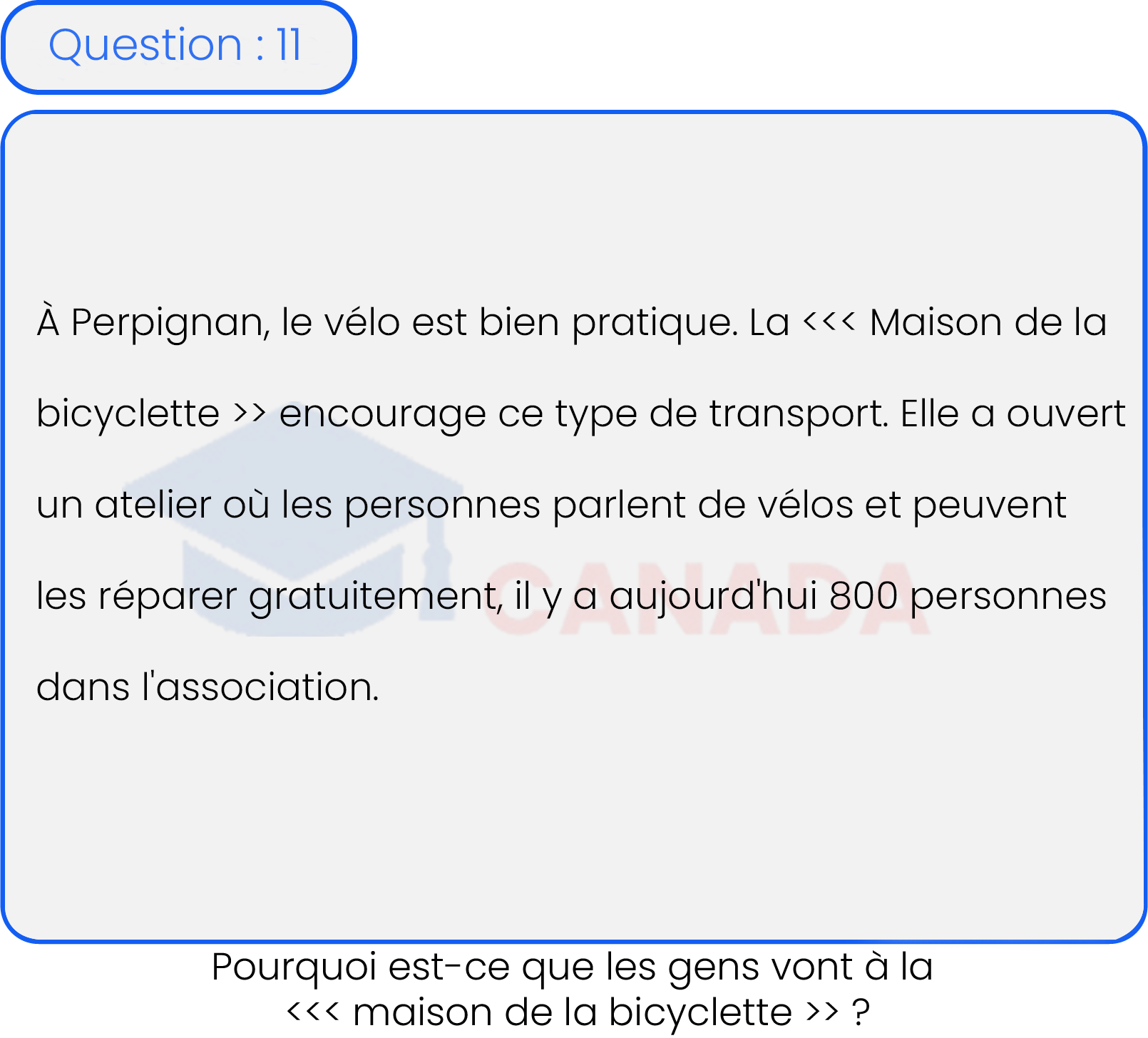 Question 11