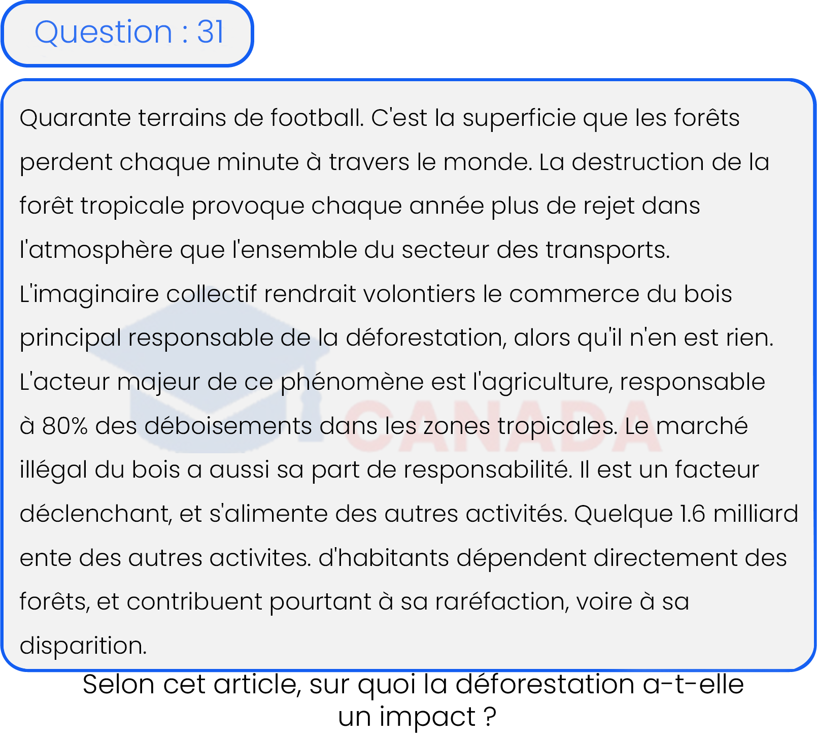 Question 31