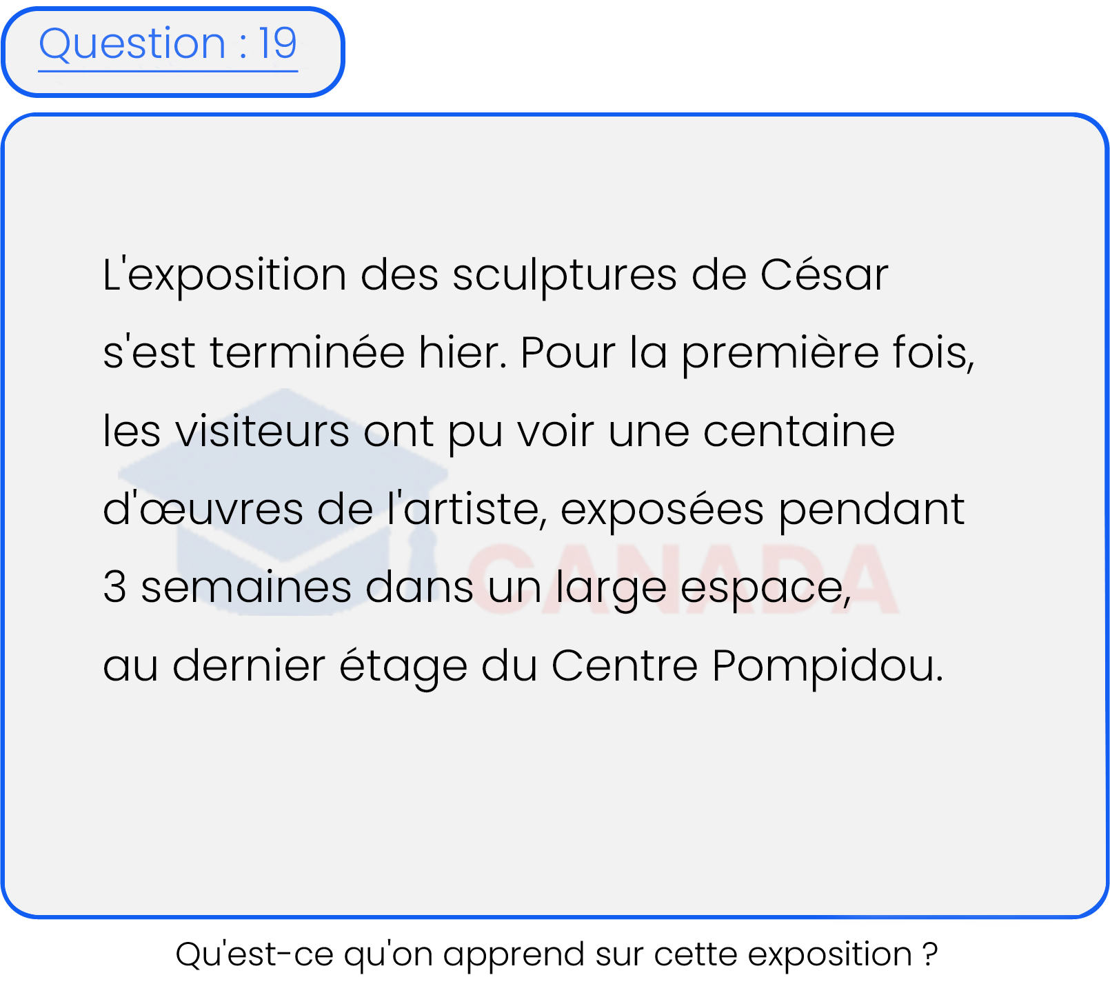Question 19