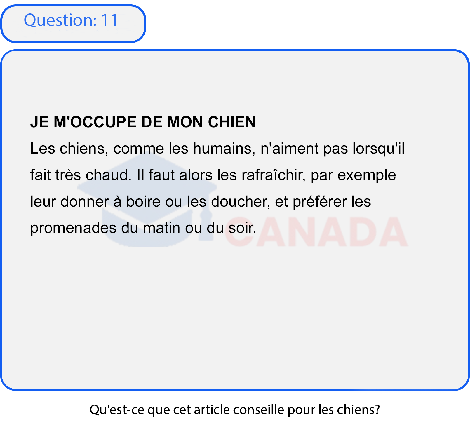 Question 11
