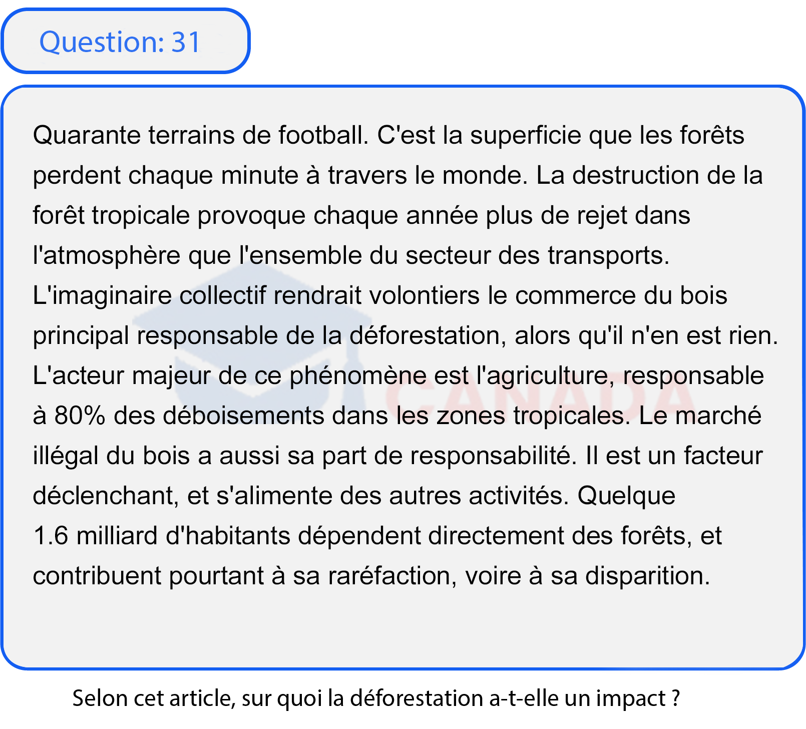 Question 31