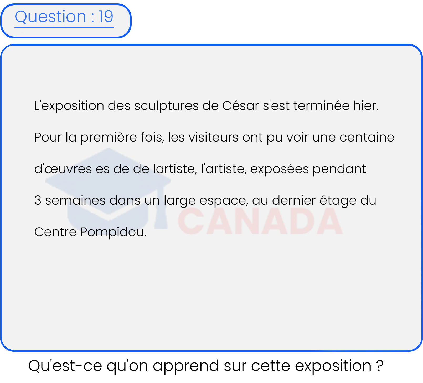 Question 19