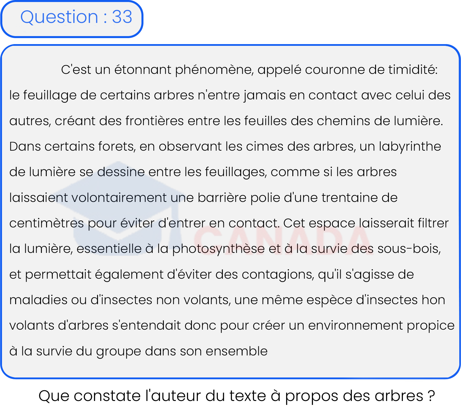 Question 33