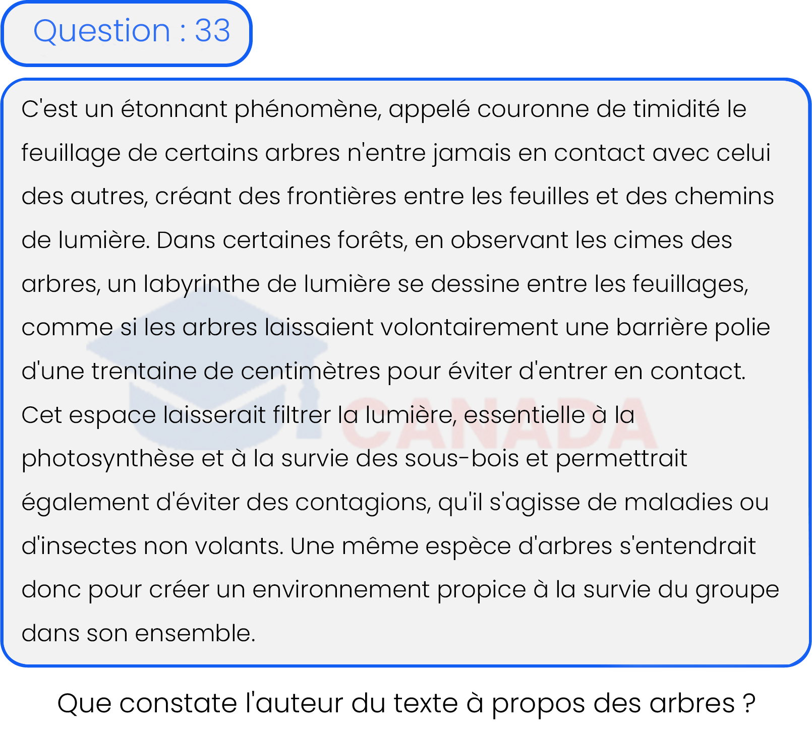 Question 33