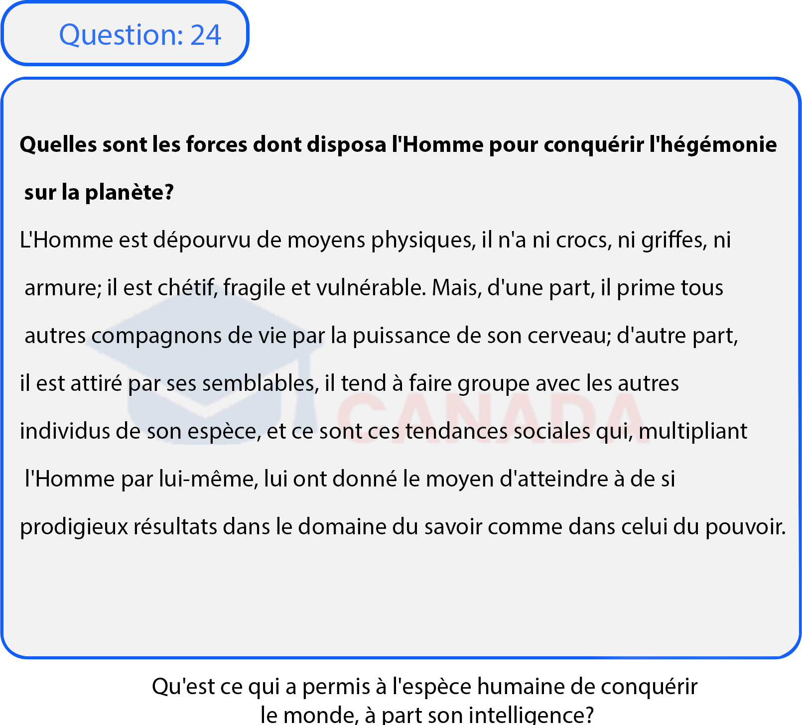 Question 24