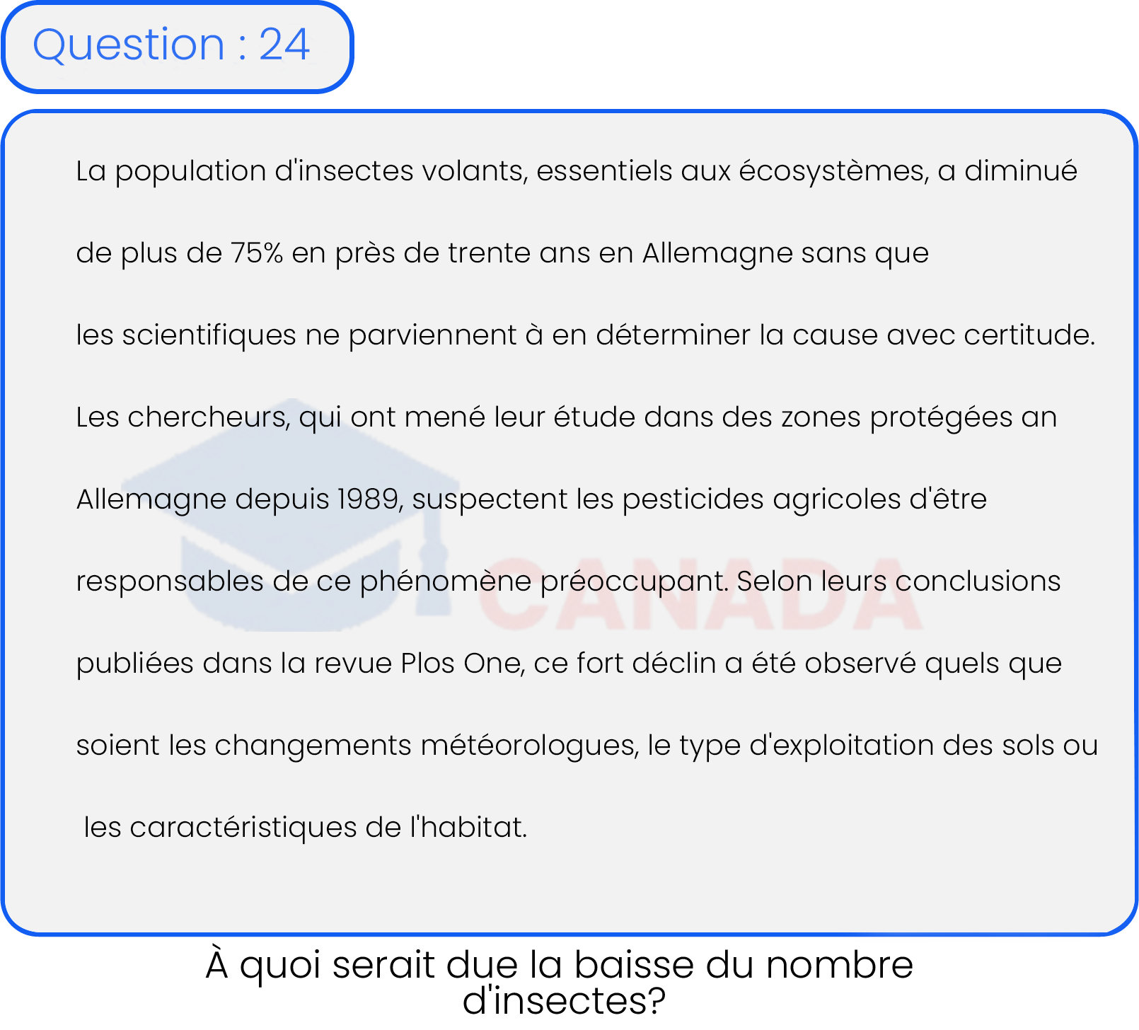 Question 24